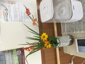 クロコスミア 施設利用者より