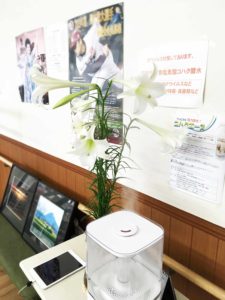 ユリの花（デイサービス）