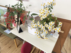 花をいただきました。